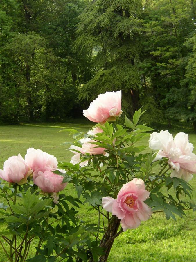 Hotel Le Domaine De Pomone Woinville Zewnętrze zdjęcie